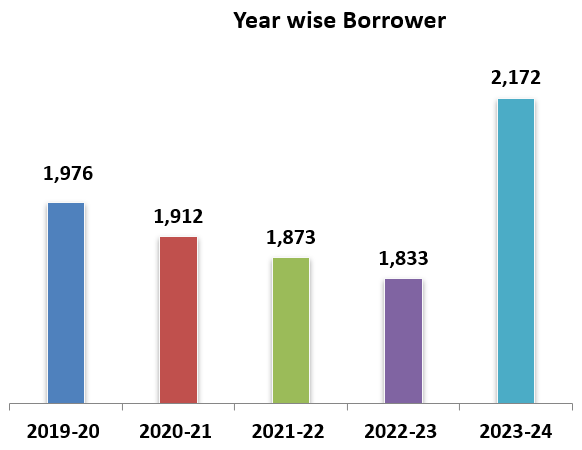 Year wise Borrower